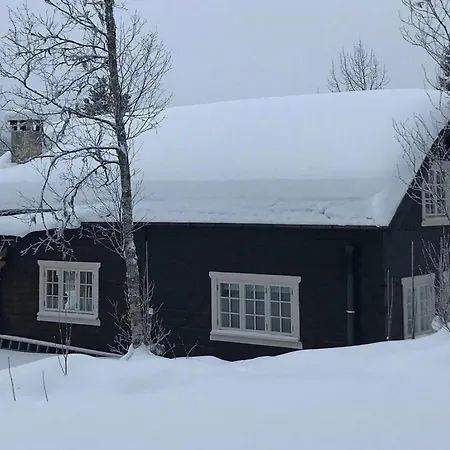 For The Whole Family Near Great Skiing Ferienhaus *