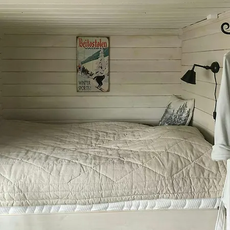 For The Whole Family Near Great Skiing * Reinli