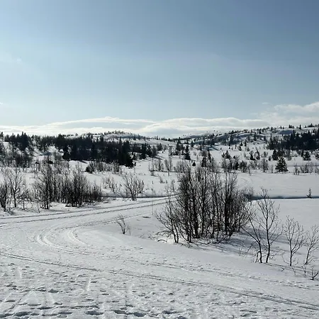 Feriehus For The Whole Family Near Great Skiing Reinli