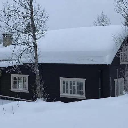 For The Whole Family Near Great Skiing
