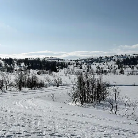 For The Whole Family Near Great Skiing Feriehus
