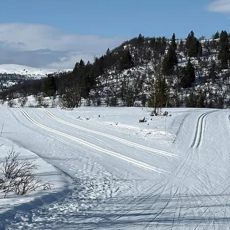 For The Whole Family Near Great Skiing * Reinli