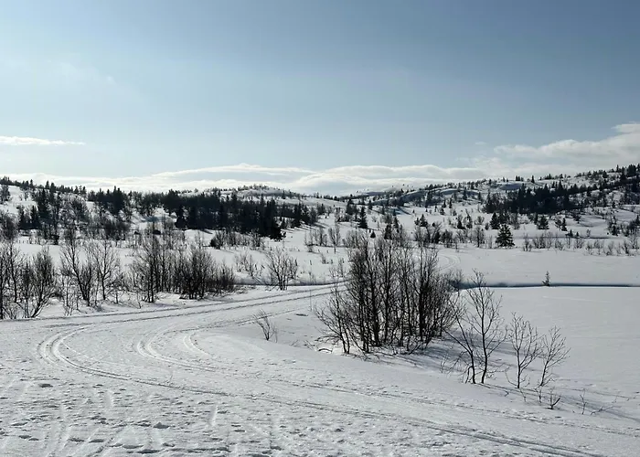 Semesterbostad For The Whole Family Near Great Skiing Reinli