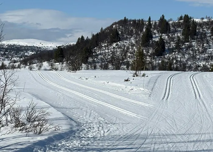 For The Whole Family Near Great Skiing *